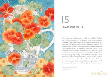 The Book of Garden Flowers [KSIĄŻKA]