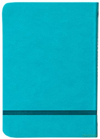 The Chosen for Kids - Book One: 40 Days with Jesus: 1 [KSIĄŻKA]