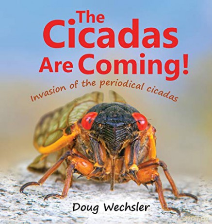 The Cicadas Are Coming!: Invasion of the Periodical Cicadas [KSIĄŻKA]