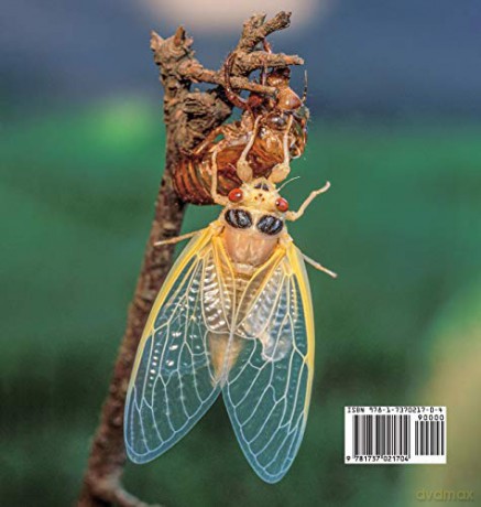 The Cicadas Are Coming!: Invasion of the Periodical Cicadas [KSIĄŻKA]