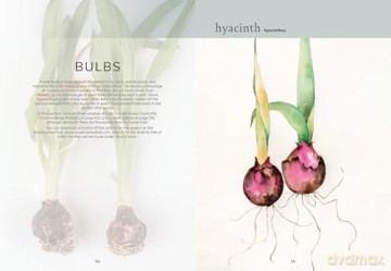 The Colour Mixing Guide: Watercolour Botanicals [KSIĄŻKA]
