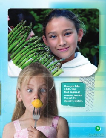 The Digestive System: Informational Text [KSIĄŻKA]