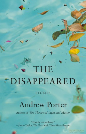 The Disappeared: Stories [KSIĄŻKA]