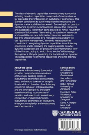 The Dynamic Metacapabilities Framework: Introducing Quantum Management and the Informational View of the Firm [KSIĄŻKA]