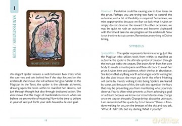 The Everglow: A Divination System [KSIĄŻKA]