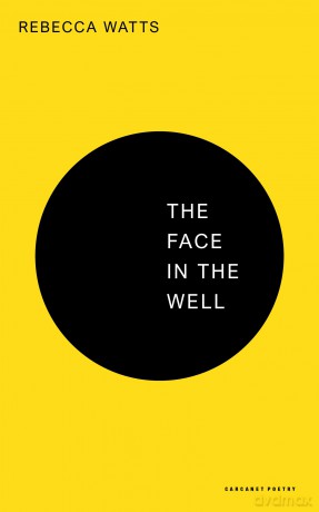 The Face in the Well [KSIĄŻKA]