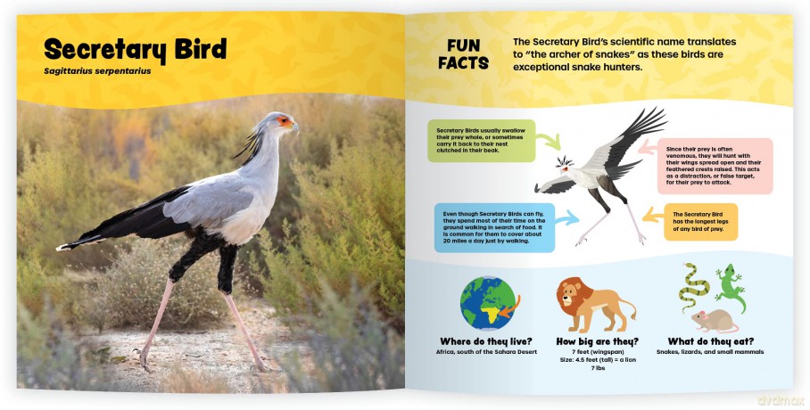 The Fantastic World of Birds of Prey [KSIĄŻKA]