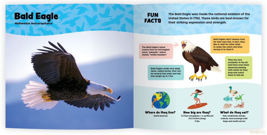 The Fantastic World of Birds of Prey [KSIĄŻKA]