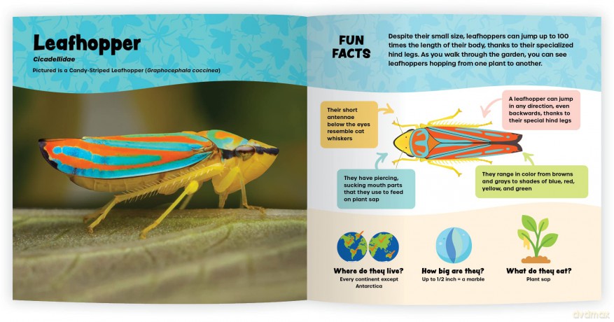The Fantastic World of Bugs [KSIĄŻKA]