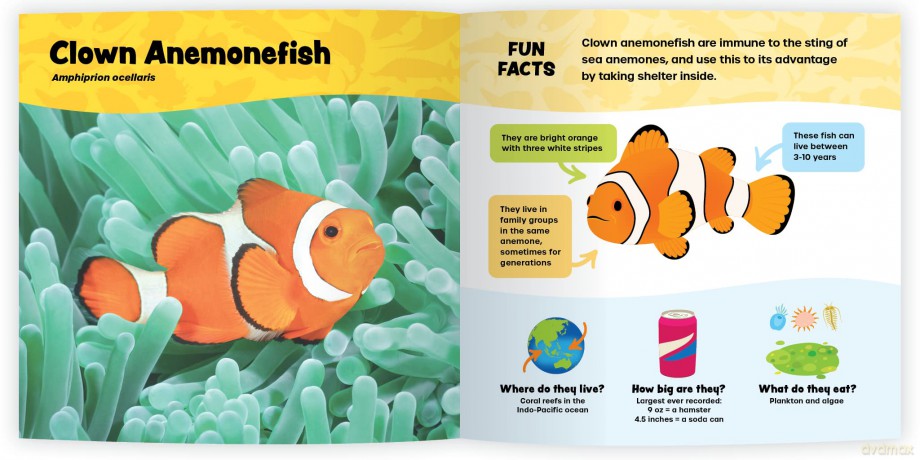 The Fantastic World of Fish [KSIĄŻKA]