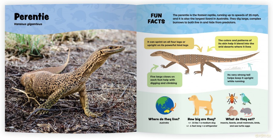 The Fantastic World of Reptiles [KSIĄŻKA]