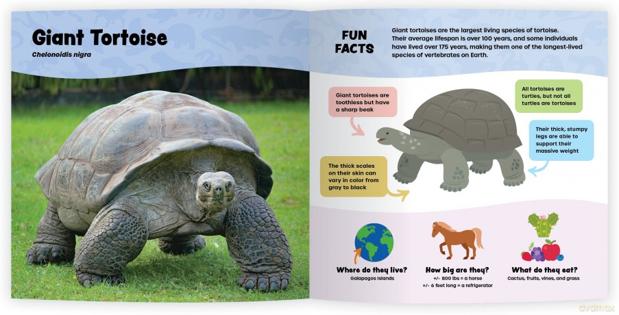 The Fantastic World of Reptiles [KSIĄŻKA]