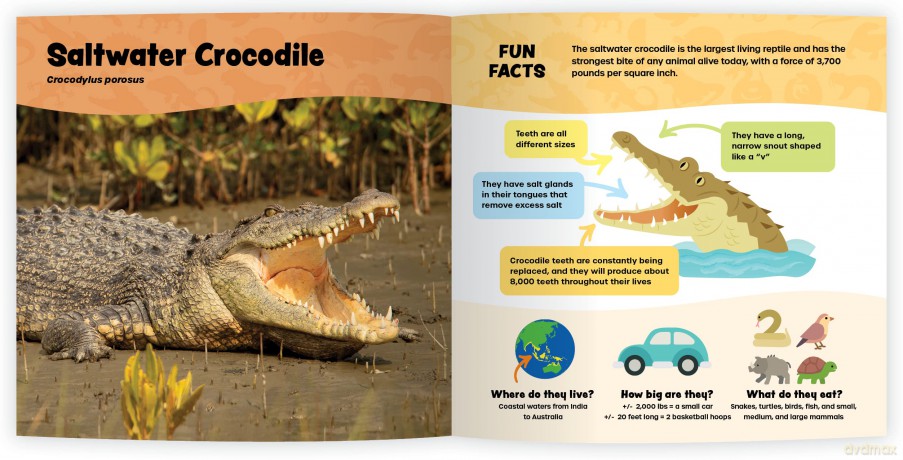 The Fantastic World of Reptiles [KSIĄŻKA]