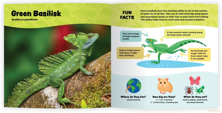 The Fantastic World of Reptiles [KSIĄŻKA]