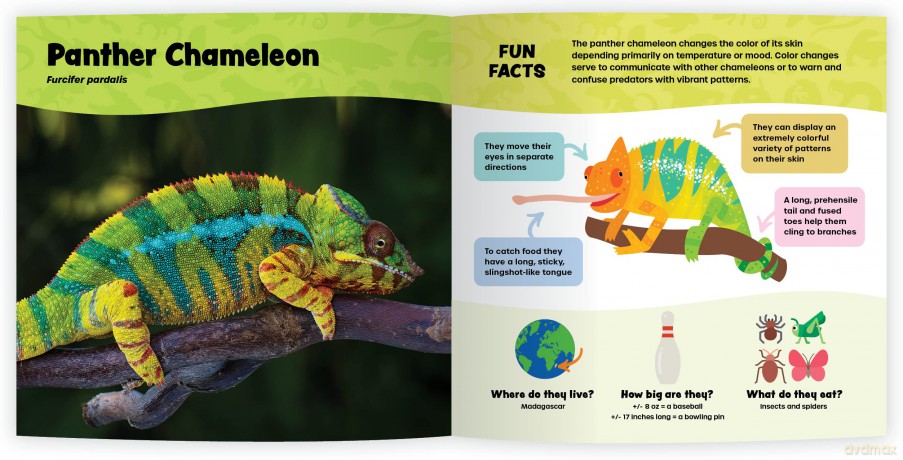 The Fantastic World of Reptiles [KSIĄŻKA]