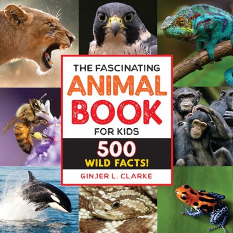 The Fascinating Animal Book for Kids: 500 Wild Facts! [KSIĄŻKA]