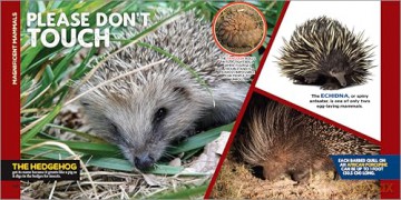The Fascinating Animal Book for Kids: 500 Wild Facts! [KSIĄŻKA]