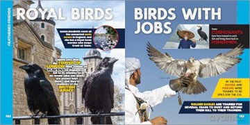 The Fascinating Animal Book for Kids: 500 Wild Facts! [KSIĄŻKA]