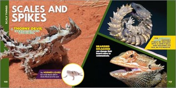 The Fascinating Animal Book for Kids: 500 Wild Facts! [KSIĄŻKA]