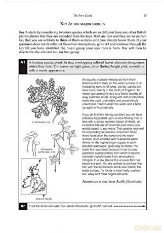The Fern Guide: A Field Guide to the Ferns, Clubmosses, Quillworts and Horsetails of the British Isles [KSIĄŻKA]