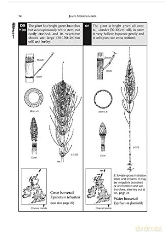 The Fern Guide: A Field Guide to the Ferns, Clubmosses, Quillworts and Horsetails of the British Isles [KSIĄŻKA]
