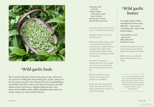 The Forager's Almanac: A year of sustainable foraging, wildcraft and recipes [KSIĄŻKA]