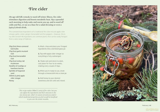 The Forager's Almanac: A year of sustainable foraging, wildcraft and recipes [KSIĄŻKA]