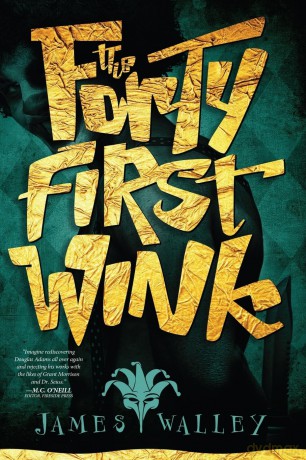 The Forty First Wink: 1 [KSIĄŻKA]