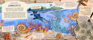The Fossil Keeper's Treasure: With Amazing Fossils to Touch! [KSIĄŻKA]