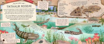 The Fossil Keeper's Treasure: With Amazing Fossils to Touch! [KSIĄŻKA]