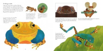The Frog Book [KSIĄŻKA]