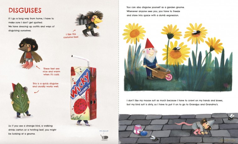 The Gnome Book [KSIĄŻKA]