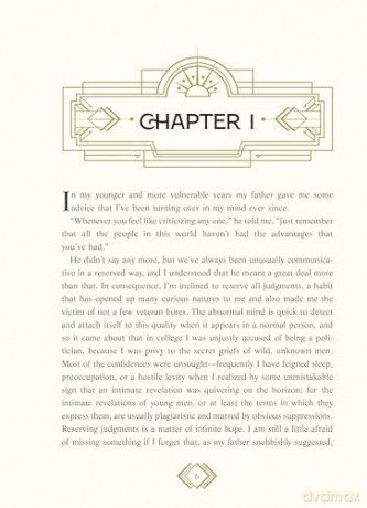 The Great Gatsby: Illustrated by Ludovic Salle [KSIĄŻKA]