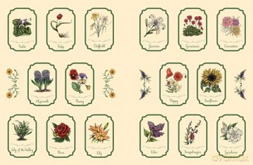 The Green Witch's Sticker Book: 600+ Enchanting Stickers Inspired by Green Magic [KSIĄŻKA]