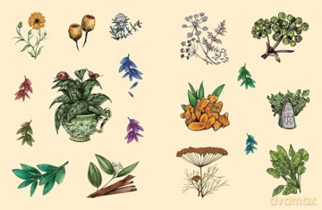 The Green Witch's Sticker Book: 600+ Enchanting Stickers Inspired by Green Magic [KSIĄŻKA]