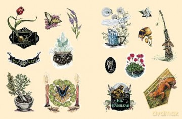 The Green Witch's Sticker Book: 600+ Enchanting Stickers Inspired by Green Magic [KSIĄŻKA]