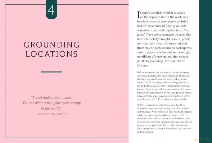 The Grounding Companion: Tap Into the Healing Power of Nature for Health, Longevity, and Vitality [KSIĄŻKA]