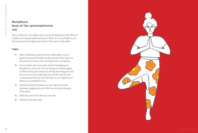 The Grounding Companion: Tap Into the Healing Power of Nature for Health, Longevity, and Vitality [KSIĄŻKA]
