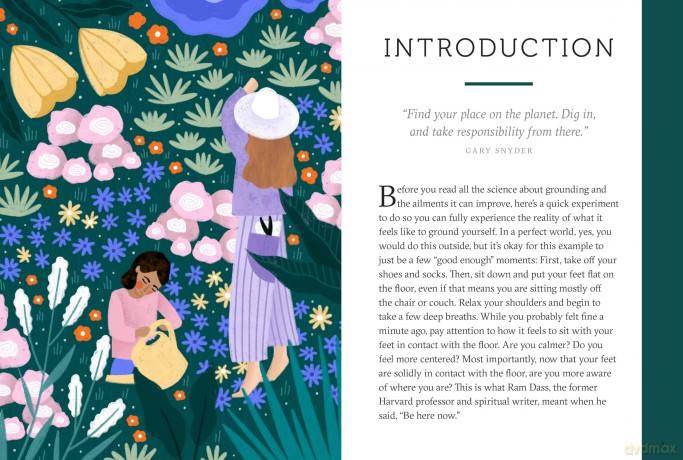 The Grounding Companion: Tap Into the Healing Power of Nature for Health, Longevity, and Vitality [KSIĄŻKA]