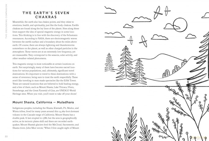 The Grounding Companion: Tap Into the Healing Power of Nature for Health, Longevity, and Vitality [KSIĄŻKA]