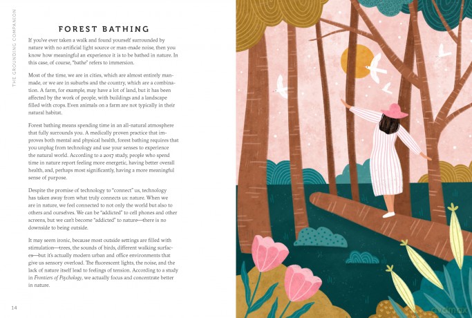 The Grounding Companion: Tap Into the Healing Power of Nature for Health, Longevity, and Vitality [KSIĄŻKA]
