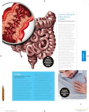 The Gut Health Plan [KSIĄŻKA]