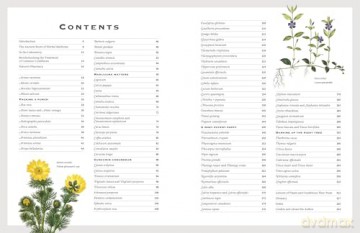 The Healing Herbal: Ancient and Modern Medicinal Plants [KSIĄŻKA]