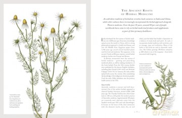The Healing Herbal: Ancient and Modern Medicinal Plants [KSIĄŻKA]
