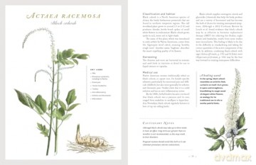The Healing Herbal: Ancient and Modern Medicinal Plants [KSIĄŻKA]