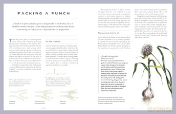 The Healing Herbal: Ancient and Modern Medicinal Plants [KSIĄŻKA]