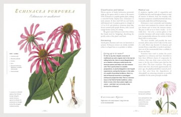 The Healing Herbal: Ancient and Modern Medicinal Plants [KSIĄŻKA]