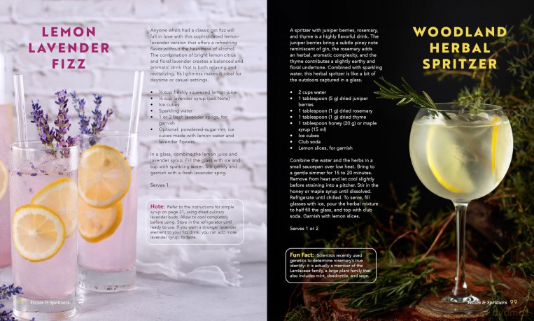 The Herbalist's Guide for the Sober Curious: 65 Garden-to-Glass Recipes [KSIĄŻKA]