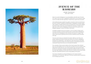 The History Trees: New for 2025, extraordinary tales of famous forests and natural landmarks around the world, with roots in history through to today [KSIĄŻKA]