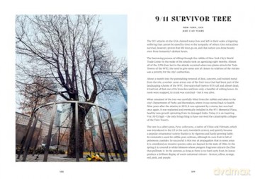 The History Trees: New for 2025, extraordinary tales of famous forests and natural landmarks around the world, with roots in history through to today [KSIĄŻKA]